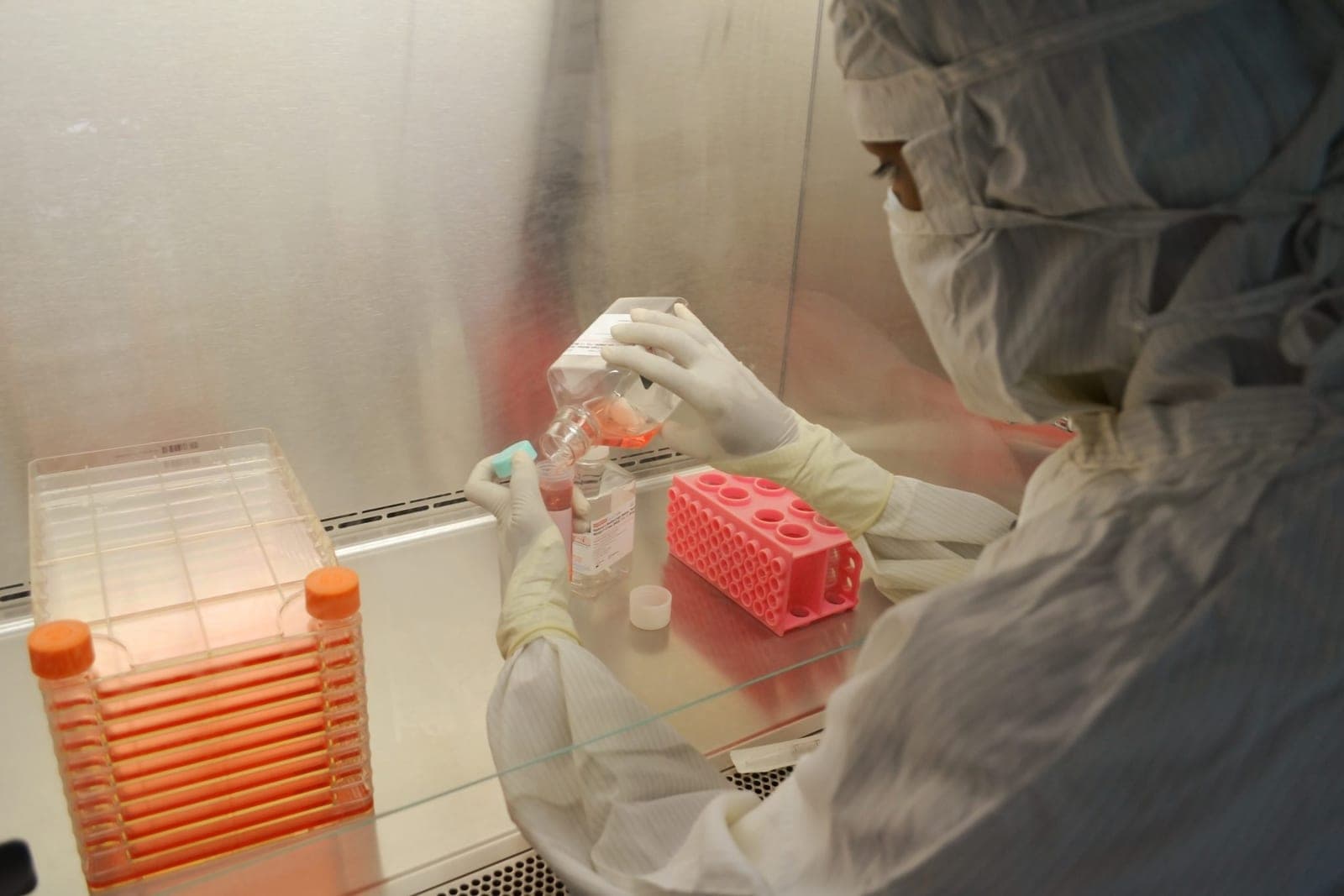 Scientist handling sample plates in a laboratory safety cabinet